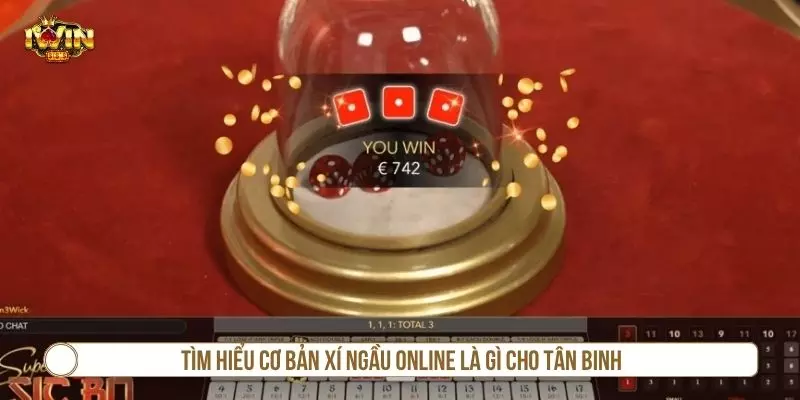 Xí Ngầu Online - Luật Chơi Và Mẹo Cá Cược Dành Cho Người Mới Thông tin cơ bản về xí ngầu online là gì